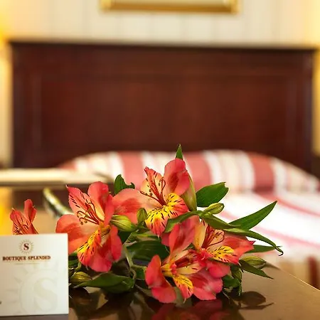 Boutique Splendid 3*